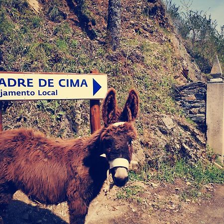 Alojamento Local Madre De Cima วินญายช์ ภายนอก รูปภาพ