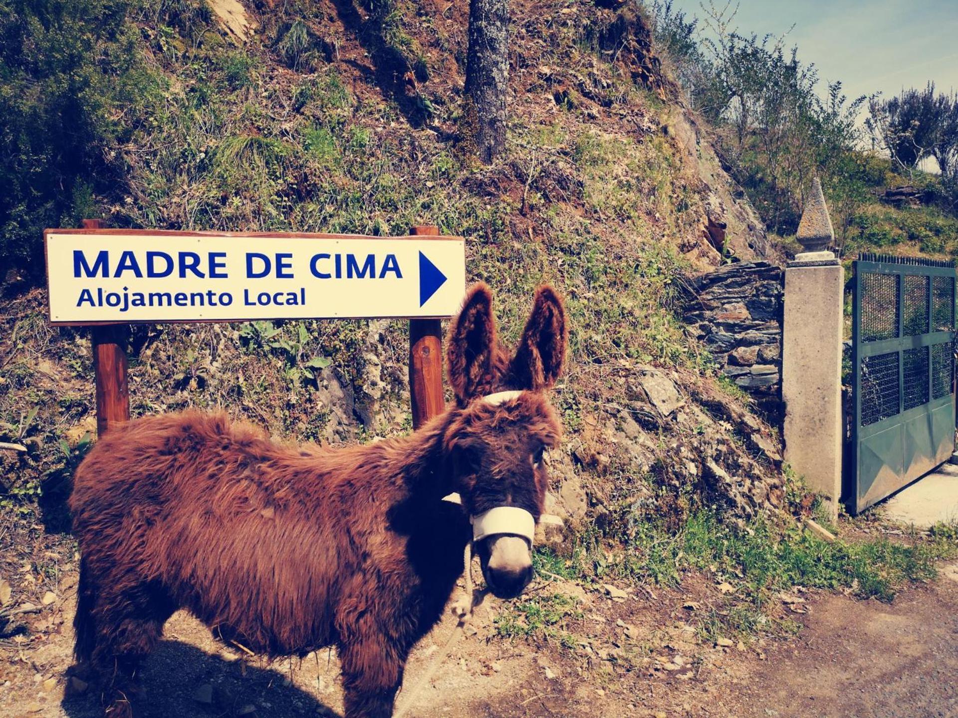 Alojamento Local Madre De Cima วินญายช์ ภายนอก รูปภาพ